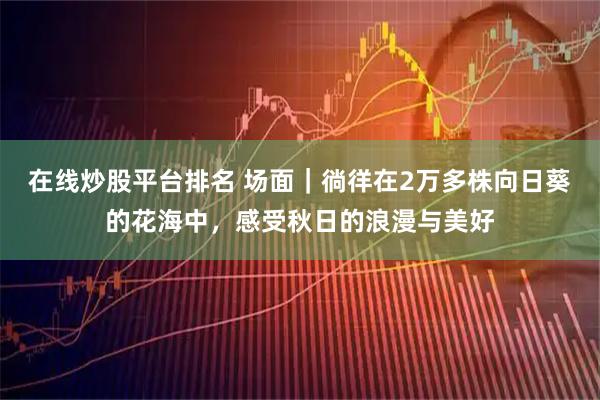 在线炒股平台排名 场面｜徜徉在2万多株向日葵的花海中，感受秋日的浪漫与美好